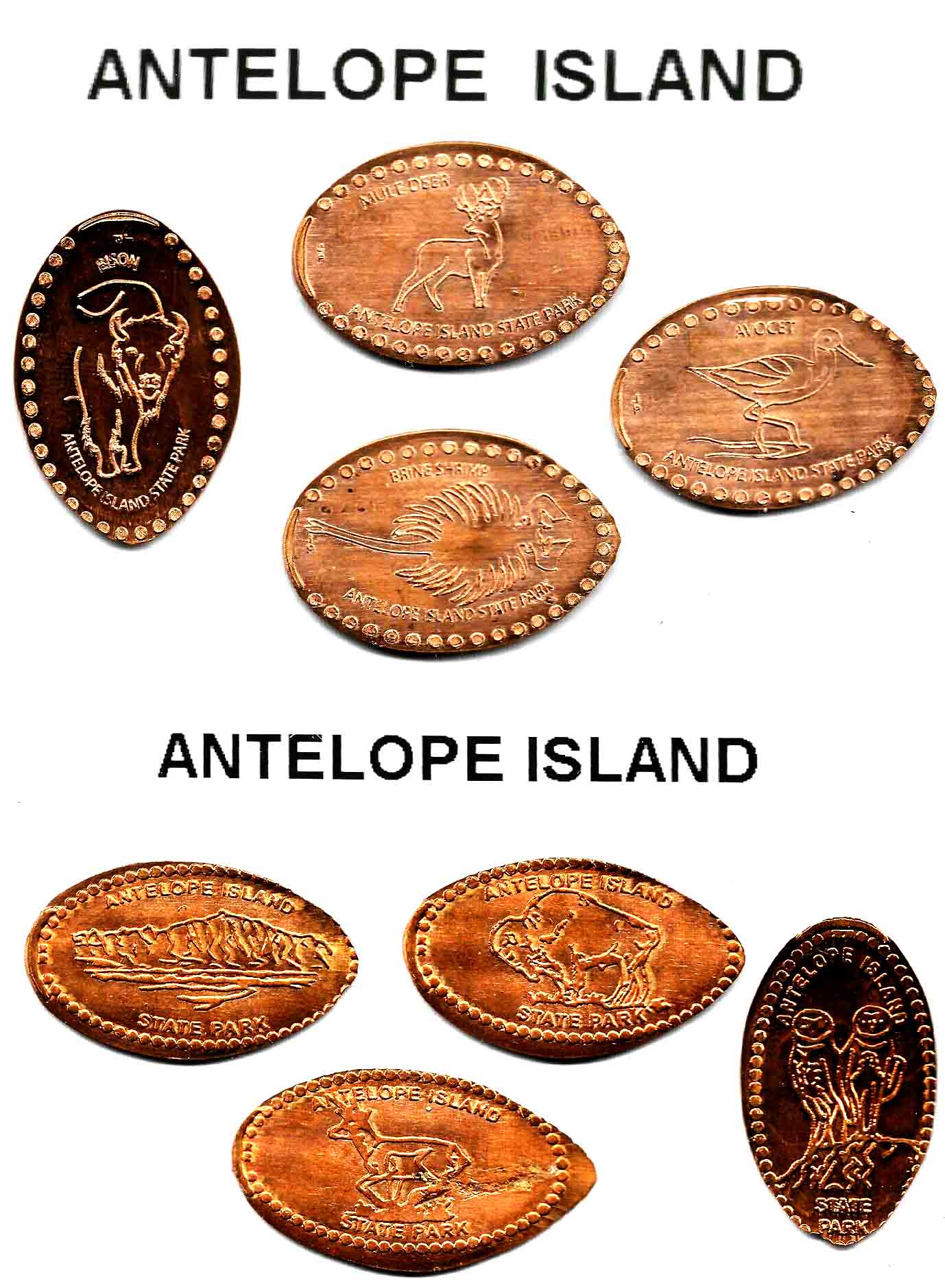 A-Numismatic-Game---Search-For-